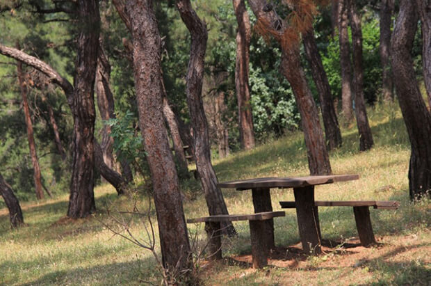 Dilburnu Tabiat Parkı Giriş Ücreti Büyükada Kamp Yerleri