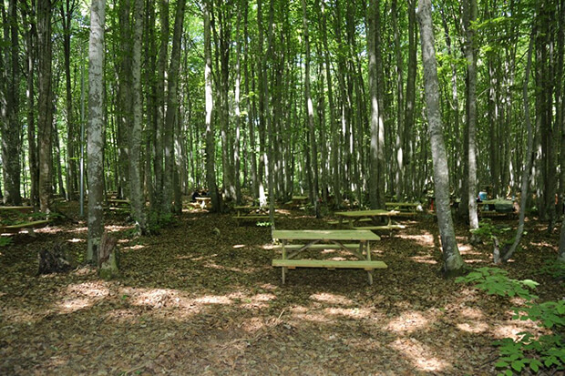 Eriklitepe Tabiat Parkı Kamp Alanı Giriş Ücreti
