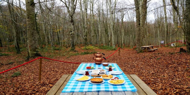 Eriklitepe Tabiat Parkı Kamp Alanı