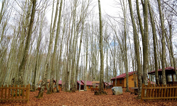 Eriklitepe Tabiat Parkı'nda Bulunan İmkanlar