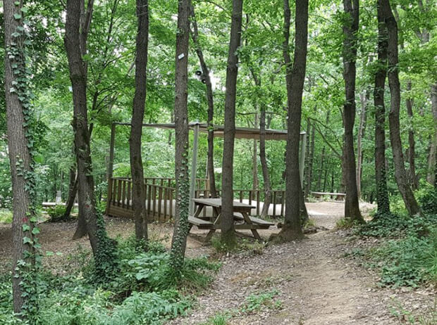 Göktürk Göleti Tabiat Parkı Fauna Bilgileri