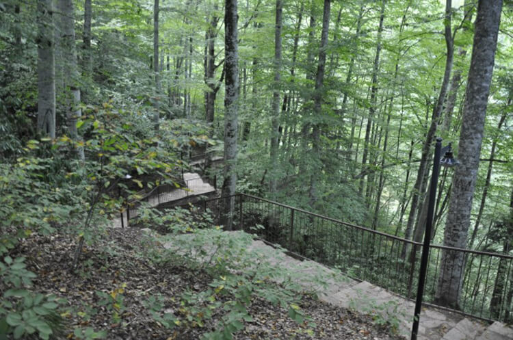 Güzeldere Şelalesi Tabiat Parkı Flora Ve Fauna Bilgileri