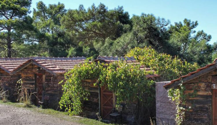 Havasupark Bungalows İletişim Ve Konum Bilgisi