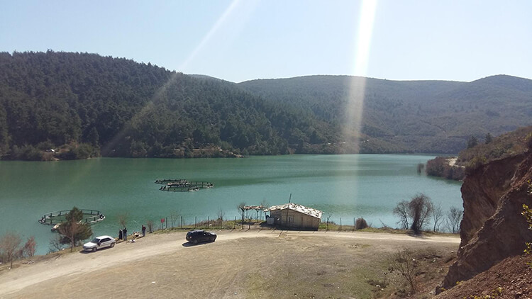 Kayapa Göleti Kamp Alanı