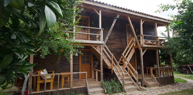 Olimpos Baykuş Lodge İşletmesi Aktiviteleri