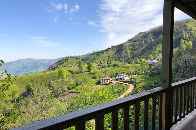 Organik Tatil Köyü Bungalow İşletmesinde Neler Yapılır?