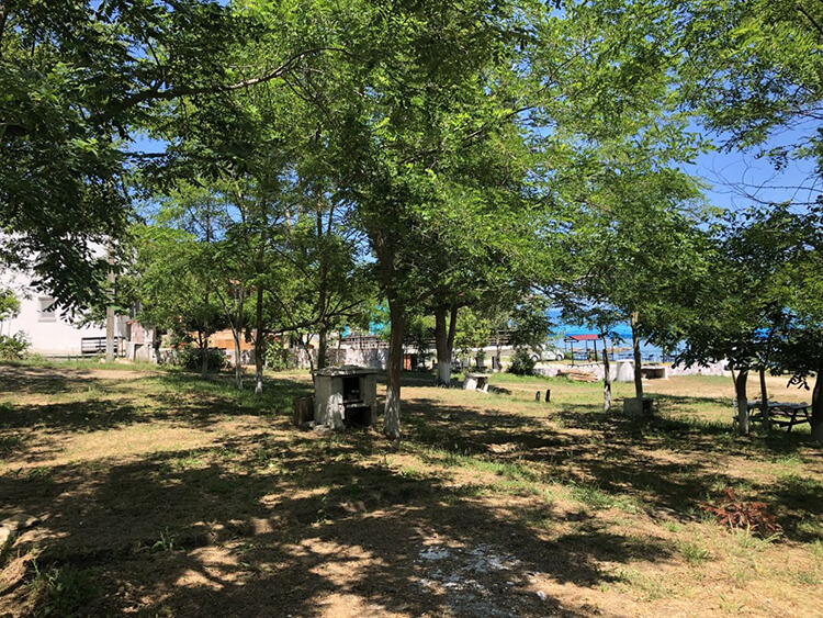 Sinop Demirkollar Aile Kampı Nerede? - Nasıl Gidilir?