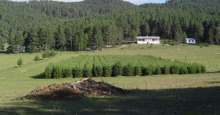 Abdullah Yaylası Kamp Alanı