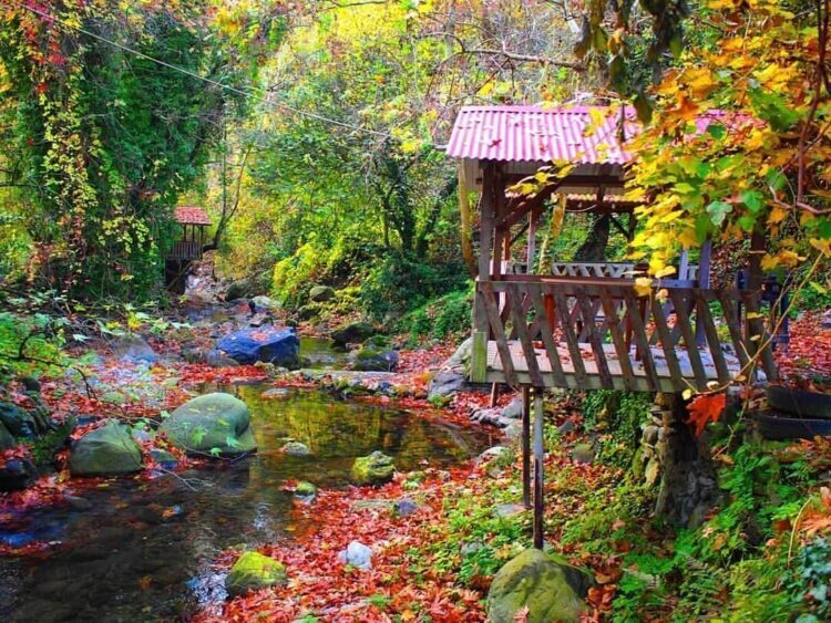 Beşikgöl Yaylası Kamp Alanı