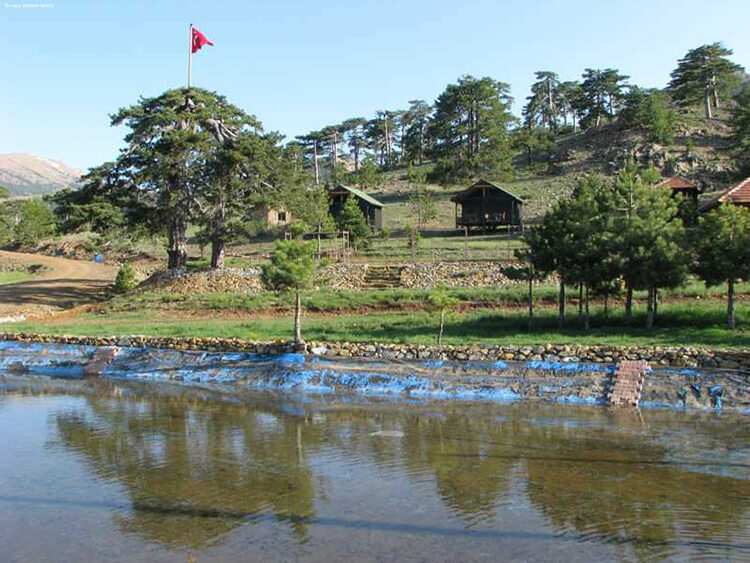 Beyağaç Topuklu Yaylası Kamp Alanı