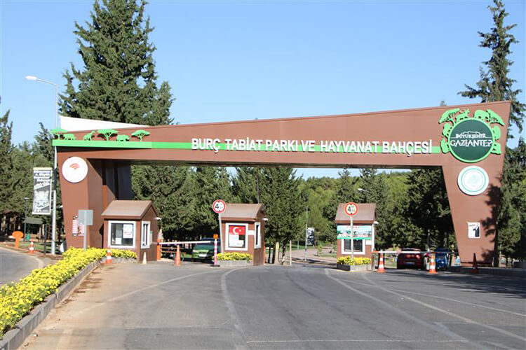 Burç Tabiat Parkı Kamp Alanı