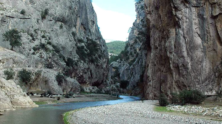 Çakıt Vadisi Kamp Alanı