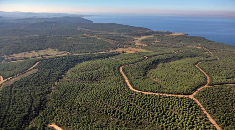 Çanakkale'de Ormana Girişler Yasaklandı Mı?