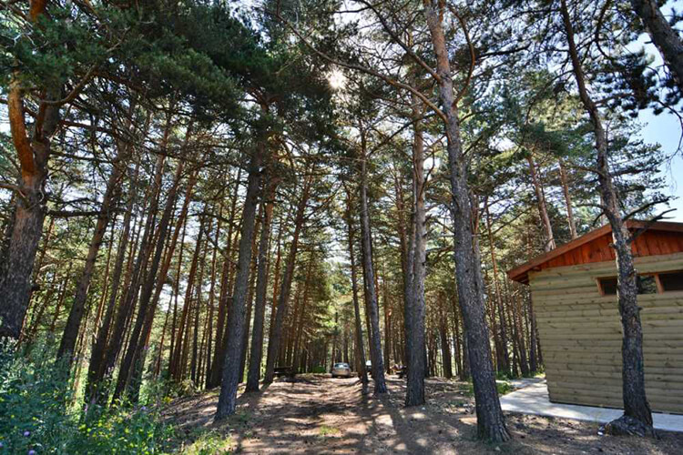 Çatak Tabiat Parkı Kamp Alanı