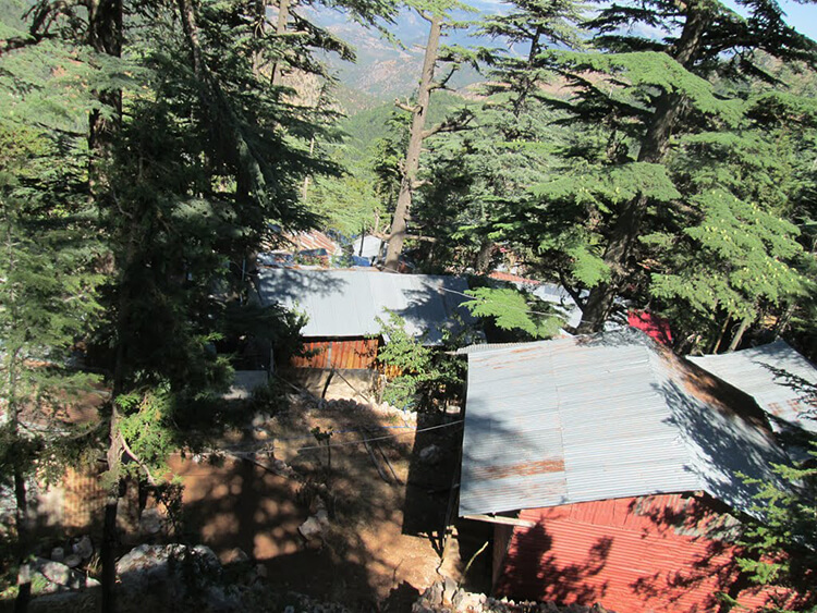 Çataloluk Yaylası Kamp Alanı