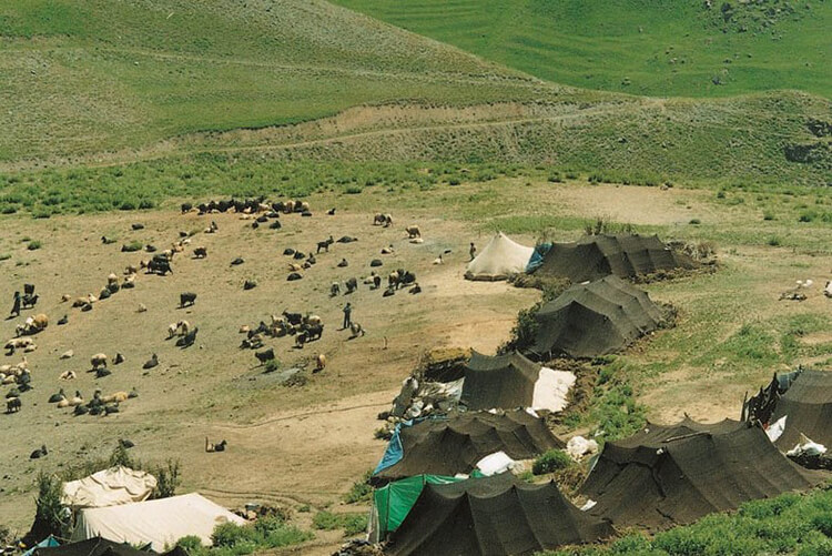 Durankaya Yaylası Kamp Alanı