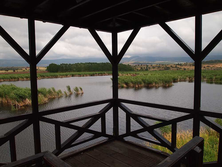 Gölünyazı Milli Parkı Kamp Alanı