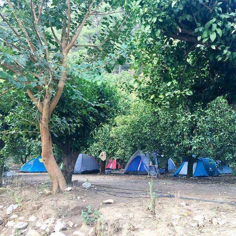 Hala'nın Yeri Kamp Alanı