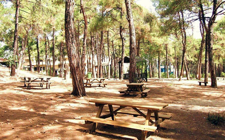 Honaz Dağı Milli Parkı Giriş Ücretleri