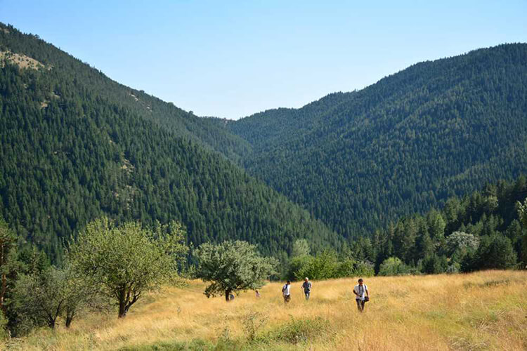 İskilip Yaylaları Kamp Alanı