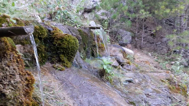 İsrafil Deresi Kamp Alanı