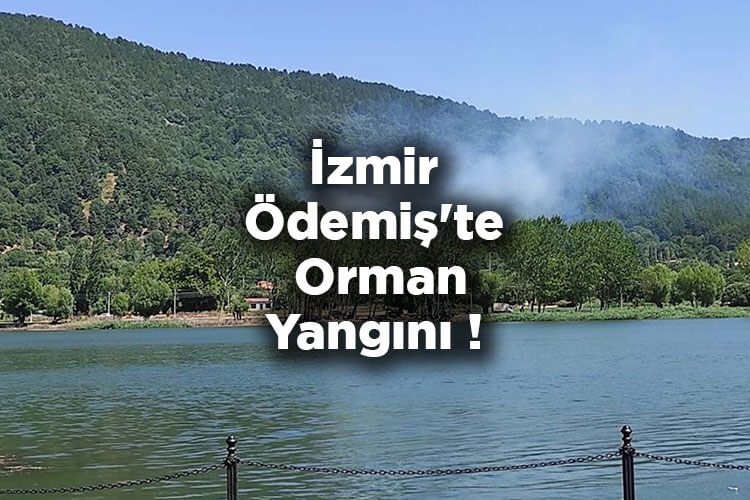 İzmir Ödemiş�te Orman Yangını! Kamp Yerleri
