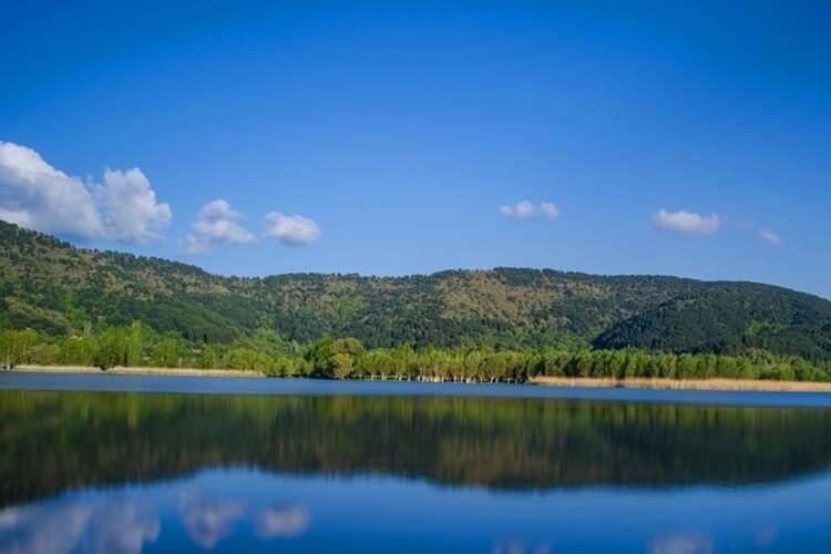 İzmir Şehir Ormanı İşletmesicisi Açıklamalarda Bulundu