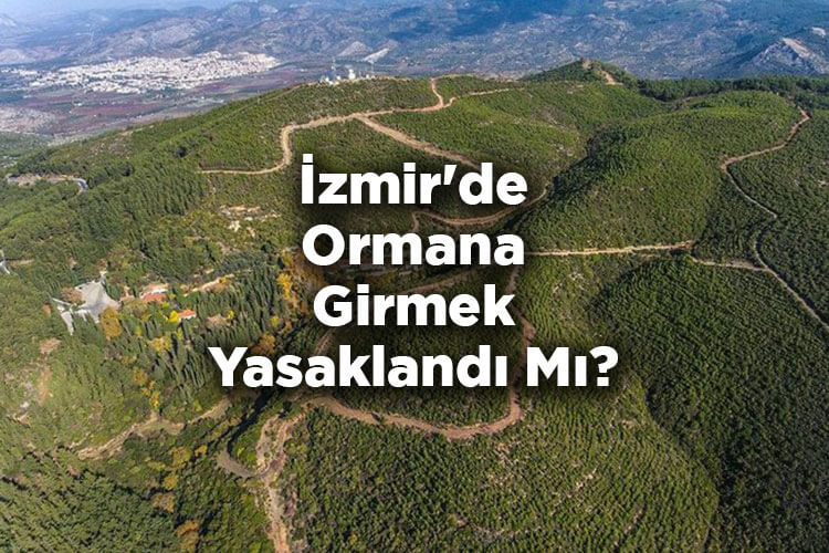 İzmir'de Ormana Girmek Yasaklandı Mı?