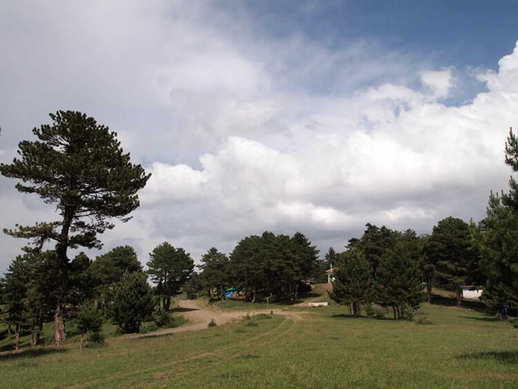 Karaca Yaylası Kamp Alanı