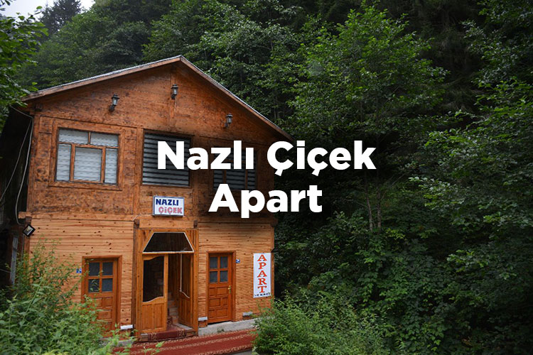 Nazlı Çiçek Apart - Ayder Yaylası Konaklama