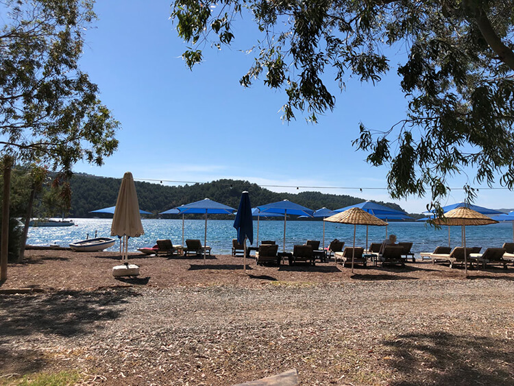 Olive Tree Bungalow Konum Ve İletişim Bilgisi