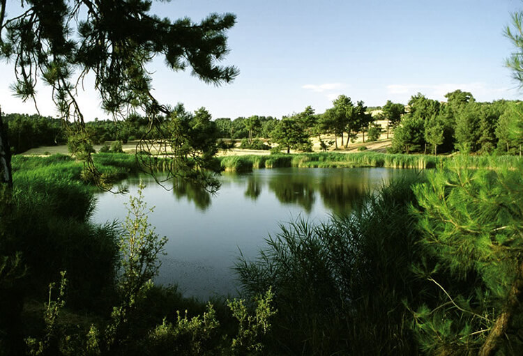 Saklı Göl Kamp Alanı