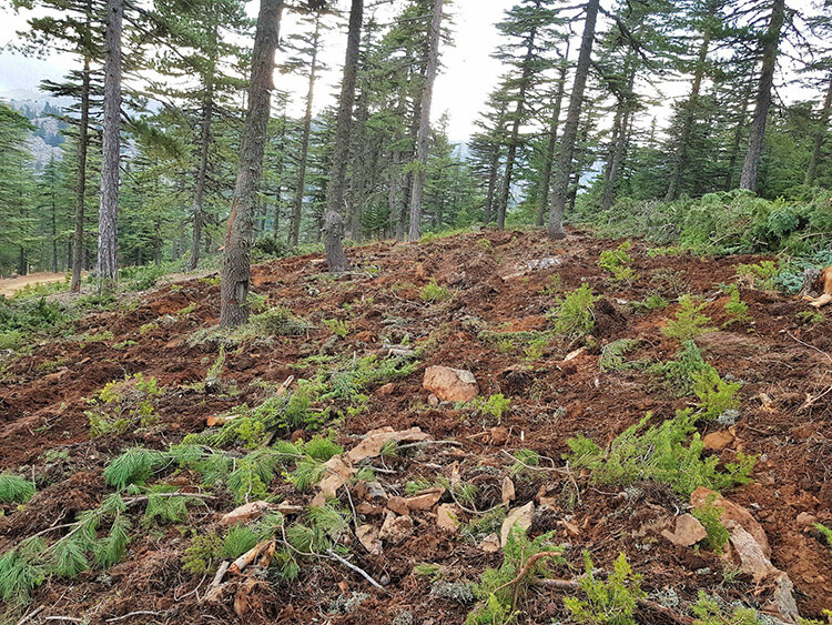 Seydişehir Belediye Başkanı Mehmet Tutal Açıkladı