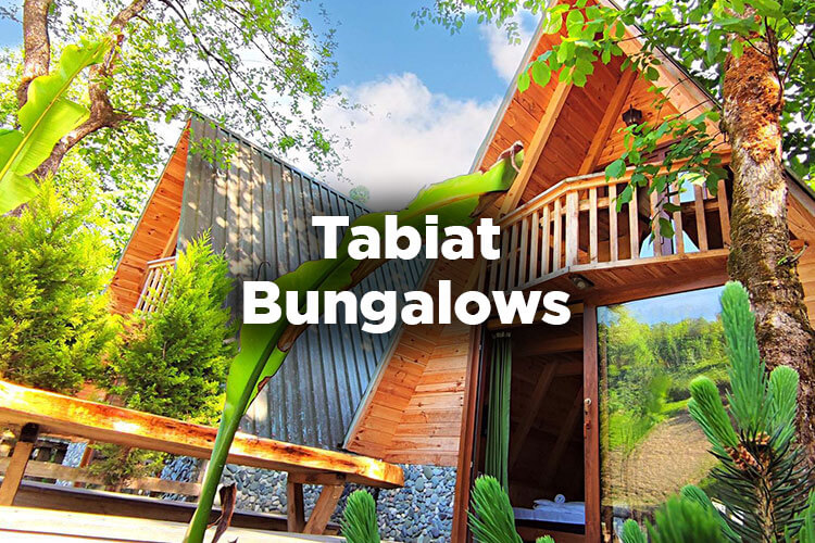 Tabiat Bungalows - Çamlıhemşin Rize