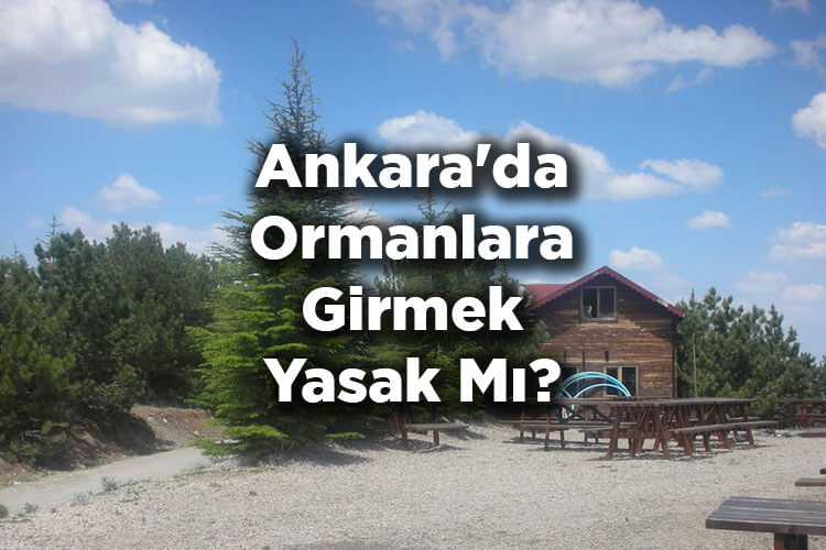 Ankara'da Ormanlara Girmek Yasak Mı?