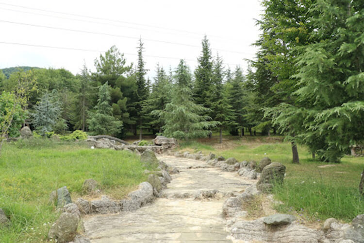 Bayraktepe Tabiat Parkı Kamp Alanı