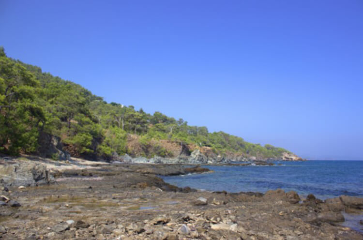 Dikilitaş Tabiat Parkı Kamp Alanı