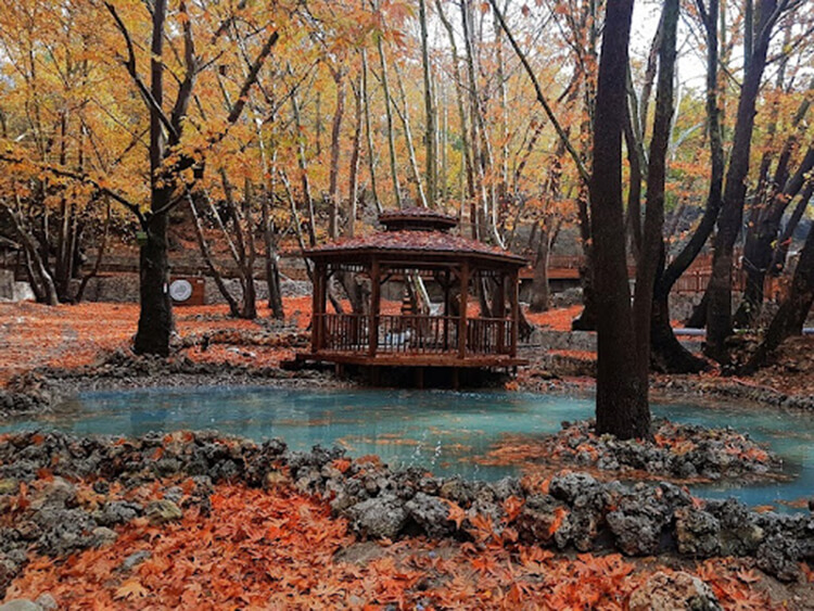 Karaekşi Tabiat Parkı Kamp Alanı