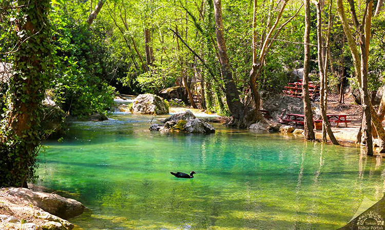Kayacı Vadisi Kamp Alanı