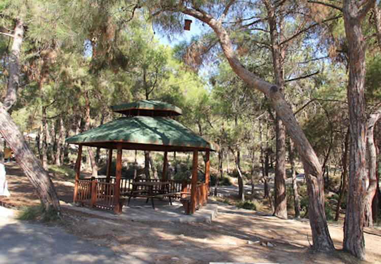 Kuyuluk Tabiat Parkı Kamp Alanı