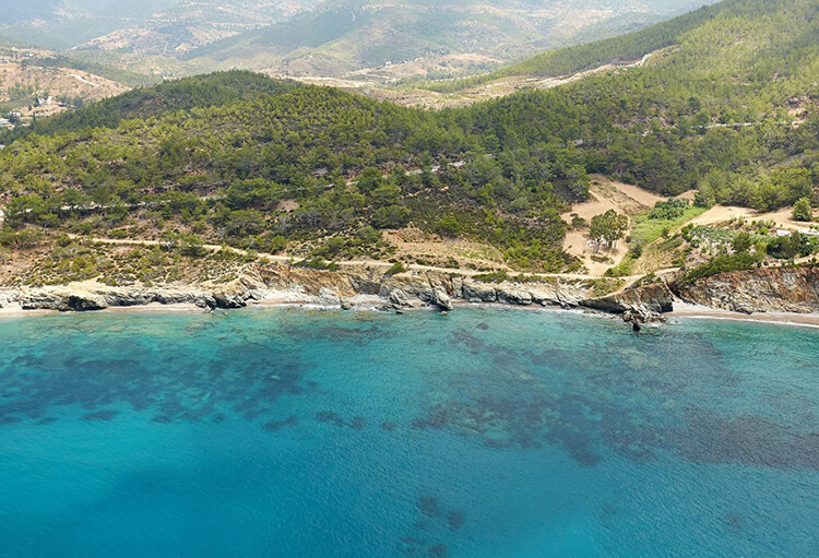 Melleç Plajı Kamp Alanı