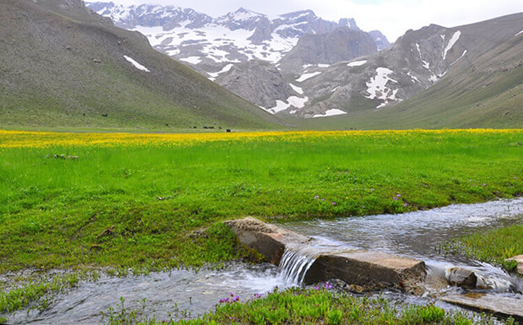 Meydan Yaylası Kamp Alanı