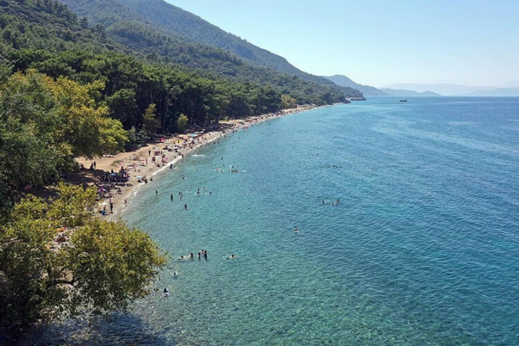 Milli Parklara Ve Tabiat Parklarına Giriş Yasak Mı?