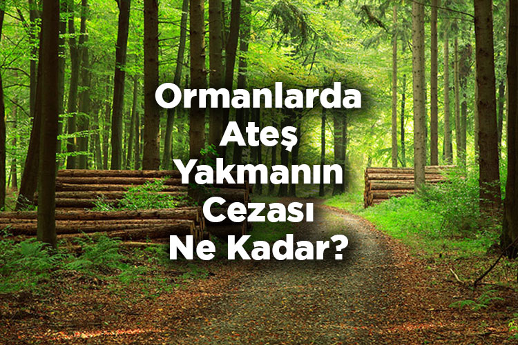 Ormanlarda Ateş Yakmanın Cezası Ne Kadar?