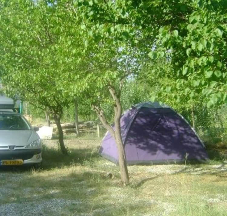 Ricardo Camping