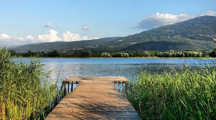Sapanca Gölü Kamp Alanı