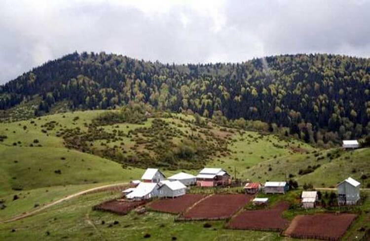Sultanpınar Yaylası Kamp Alanı