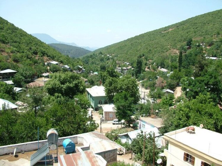 Almanpınarı Yaylası Kamp Alanı