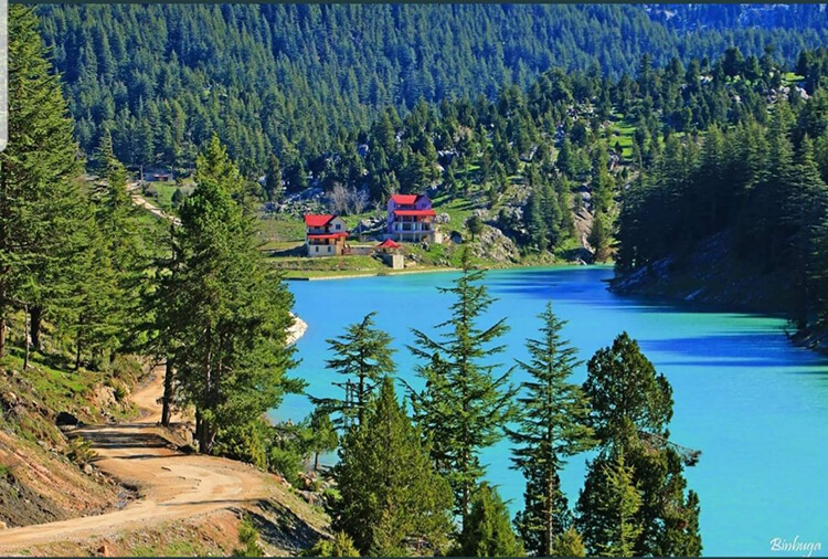 Bağdaş Yaylası Kamp Alanı