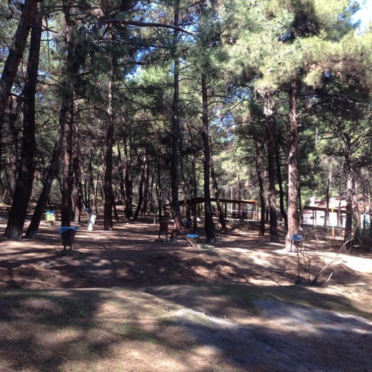 Çamlık Tabiat Parkı Kamp Alanı